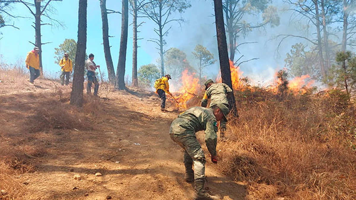 Ejército mexicano mantiene Plan DN-III-E para sofocar el incendio en Loma de Santa María