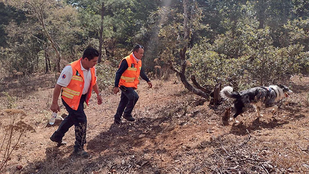 Intensifican búsqueda de menor desaparecido en el Cerro del Tzirate
