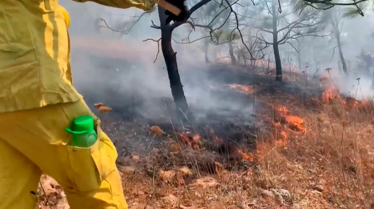 Con remanentes, tres incendios forestales en Morelia