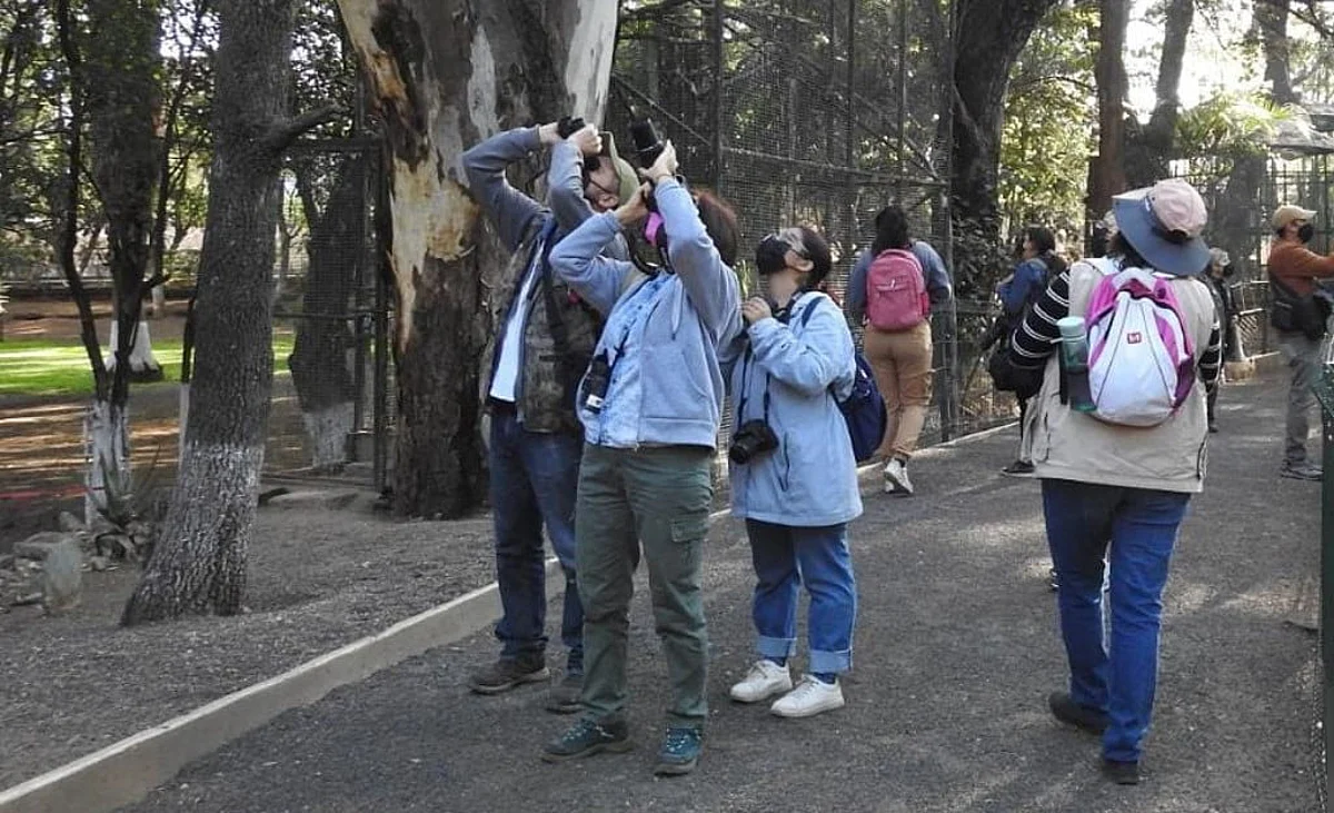 ¿Conoces la biodiversidad de Morelia? SIRUKI te lleva a pajarear y mucho más