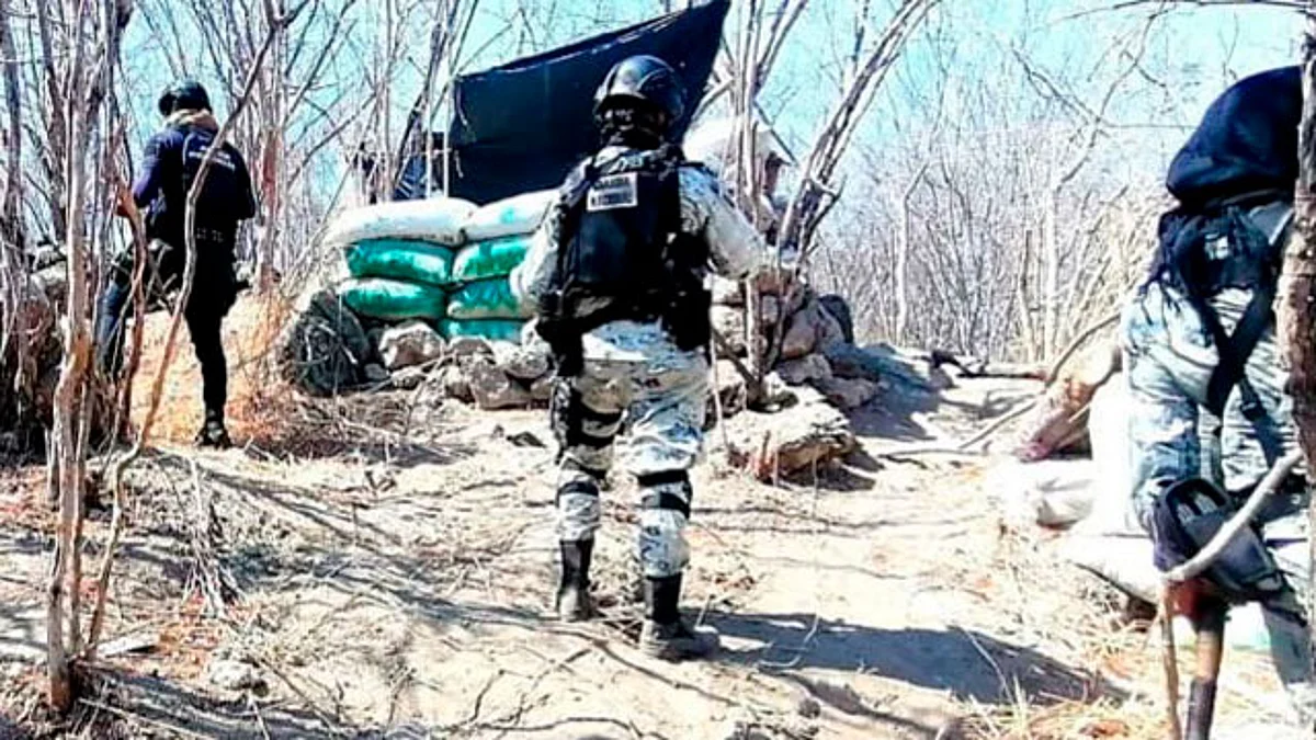 Aseguran en Tepalcatepec campamento utilizado por una célula delictiva