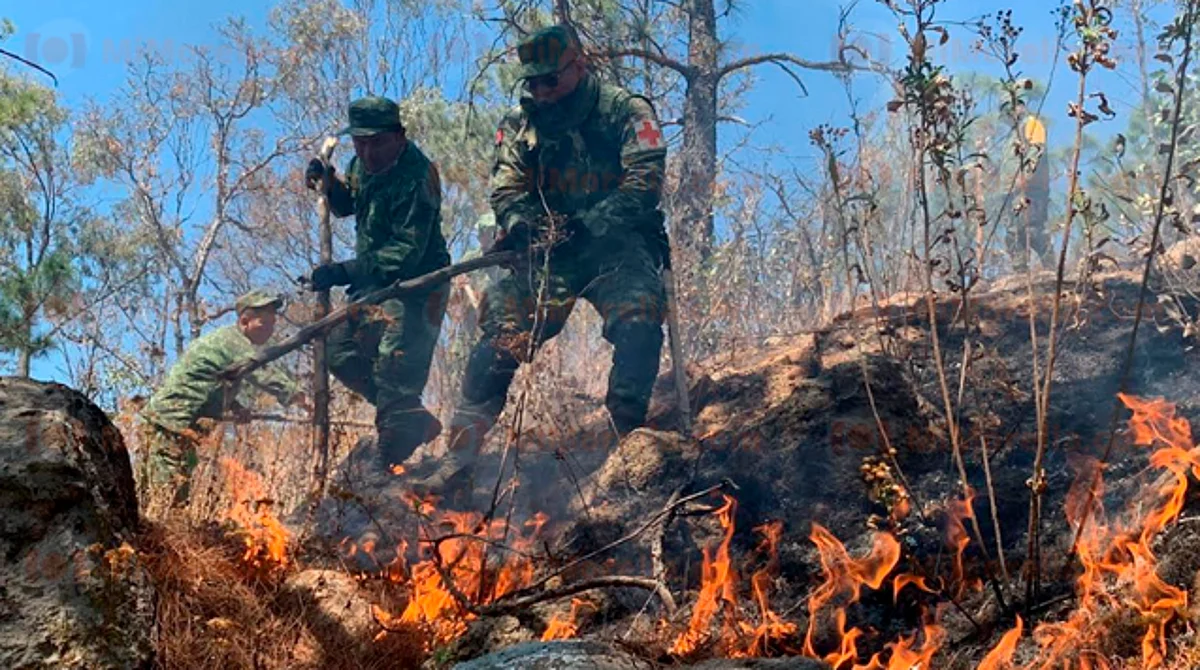 Controlado, 80% incendio en Loma de Santa María, en Morelia