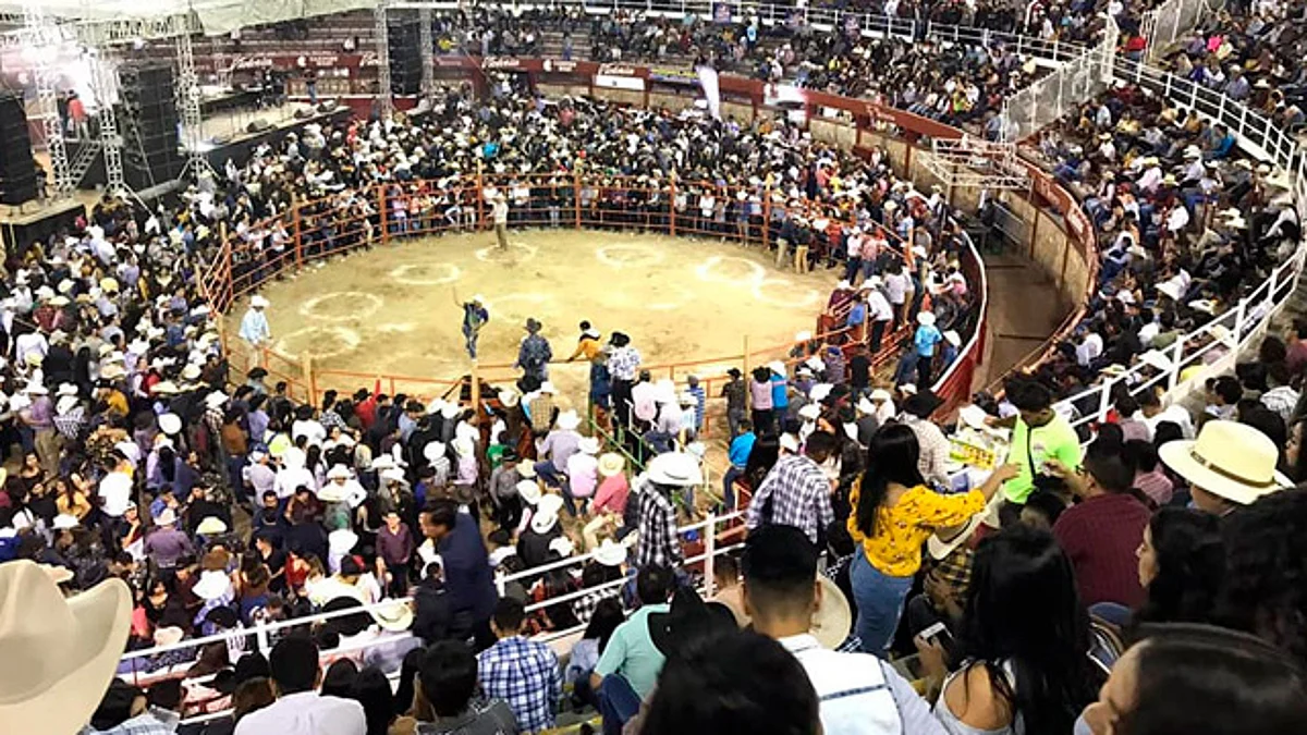 Se solicitaría a empresarios de eventos masivos certificación de seguridad en recintos