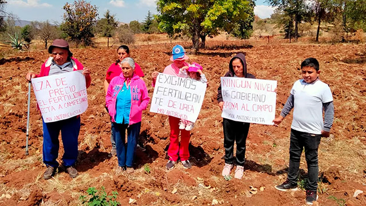Teresa Esquivel, líder del Movimiento Antorchista en la región indicó que el presidente de la República ha quitado los apoyos de fertilizante y semillas de calidad