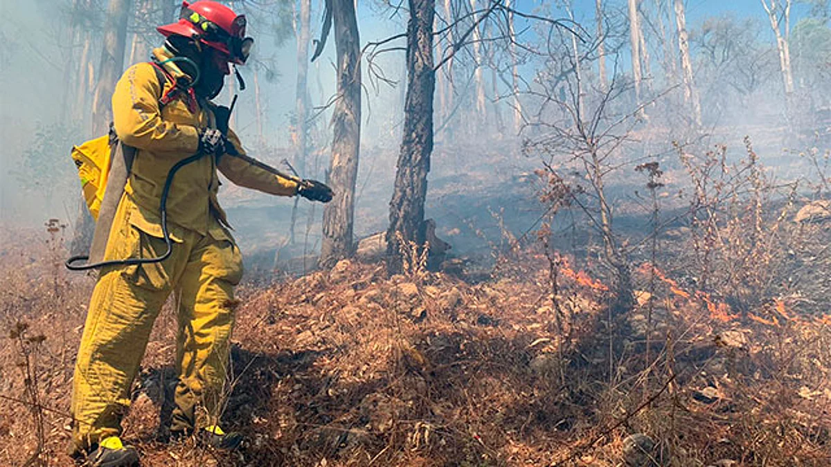 Michoacán se mantiene por debajo en afectaciones por incendios forestales