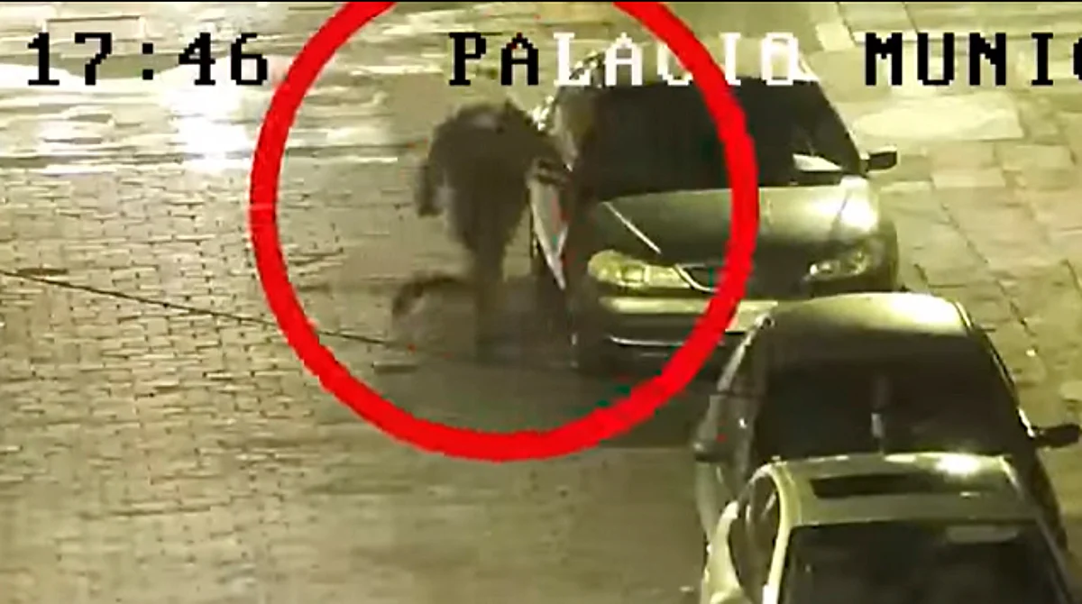 Sujeto que disparó en Watson, Morelia, así fue arrestado; hay video