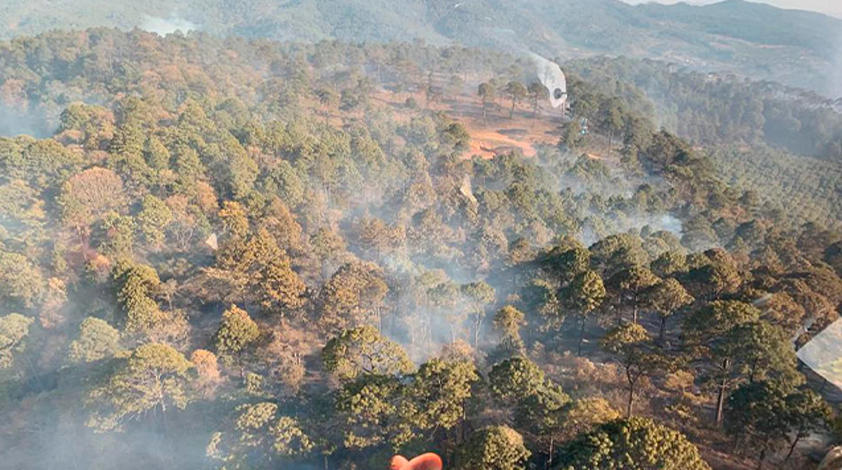 Controlado, incendio forestal en cerro La Corona de Cotija: SSP