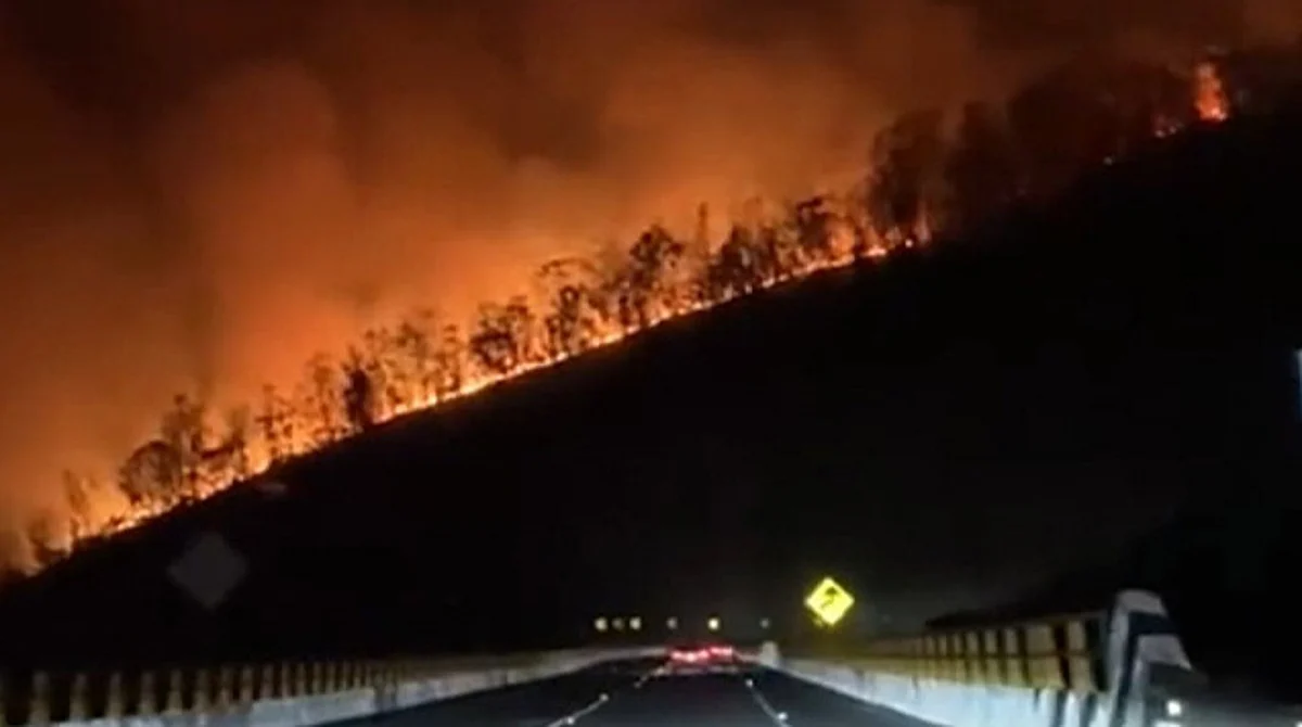 Morelia: incendio forestal afecta 12 hectáreas de la Loma de Santa María
