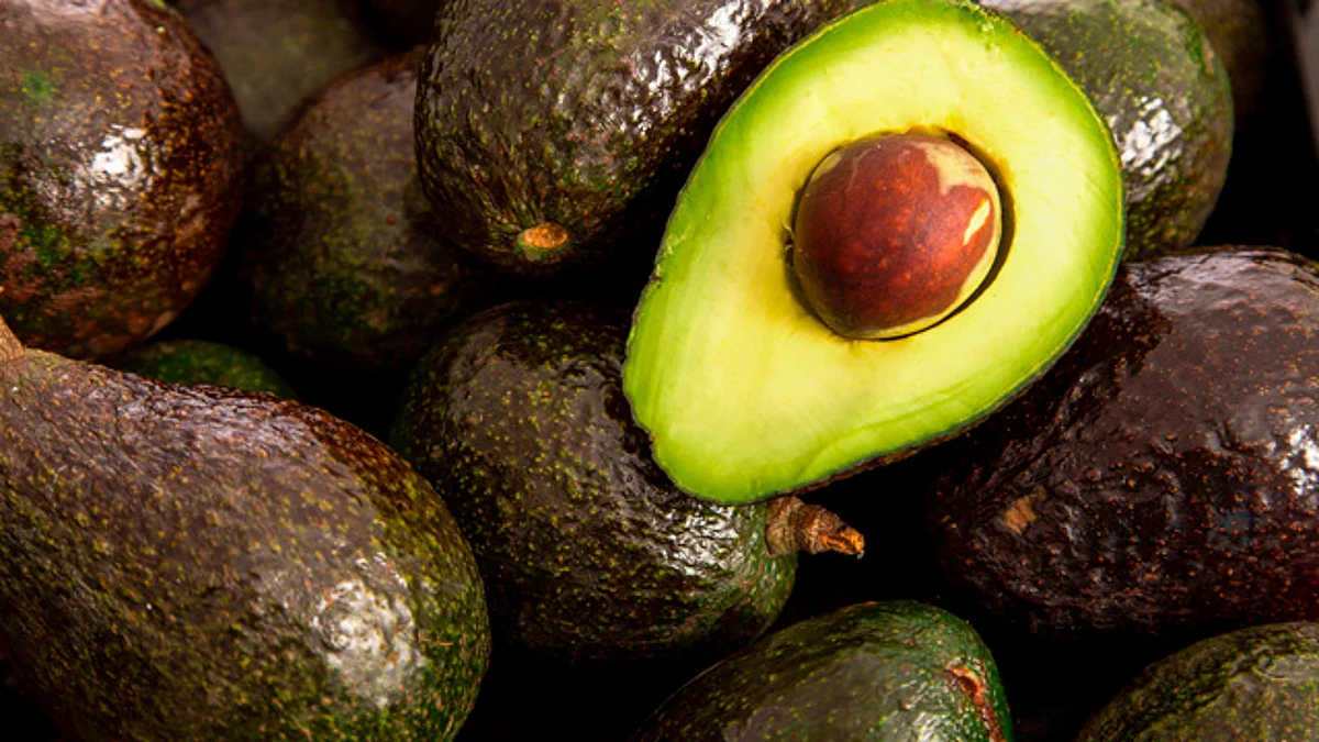 “Para todos hay”: edil de Uruapan; Jalisco podría ser el 2do exportador de aguacate a EU