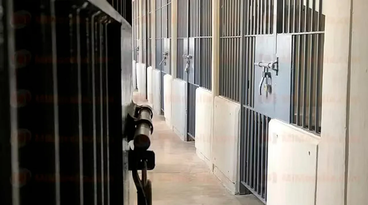 En Michoacán,15 menores privados de la libertad por relación con el crimen organizado