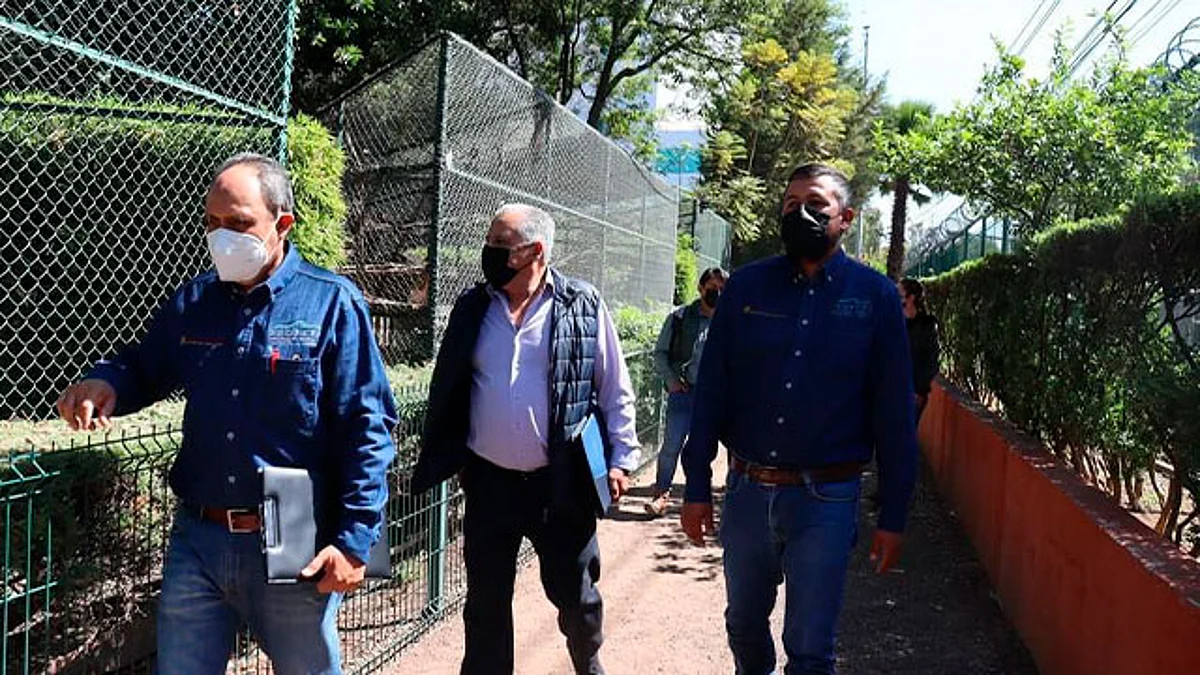 Zoológico de Morelia y Profepa supervisan cuidados de ejemplares en resguardo