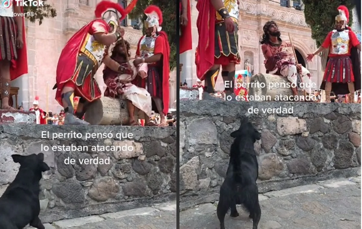 Perrito defiende a “Jesús” en viacrucis de Charo; pensó que lo atacaban de verdad