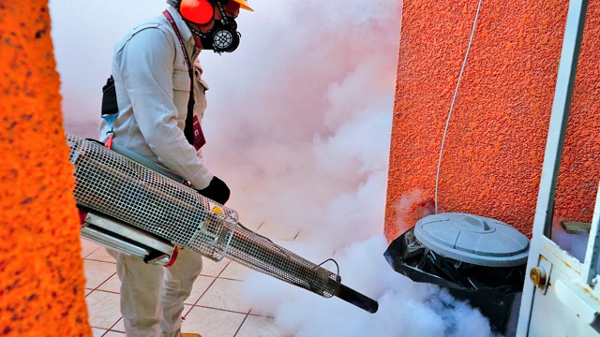 De manera permanente la SSM lleva a cabo jornadas de nebulización en diversos lugares