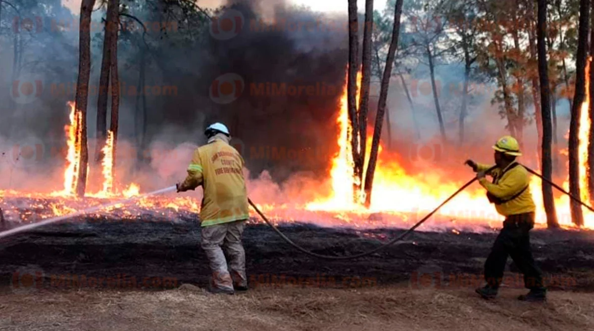 Controlado al 70%, incendio del cerro Prieto en Los Reyes, Michoacán