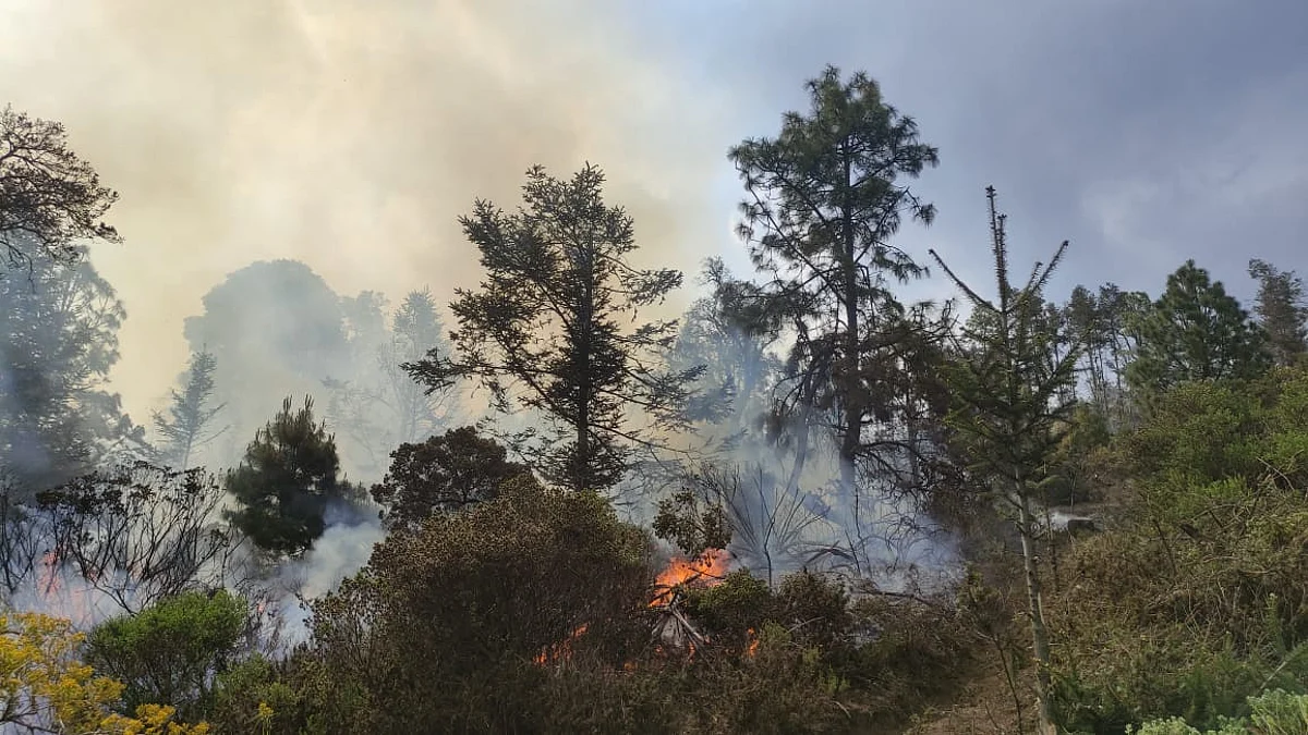 Michoacán ocupa el tercer lugar en número de incendios a nivel nacional