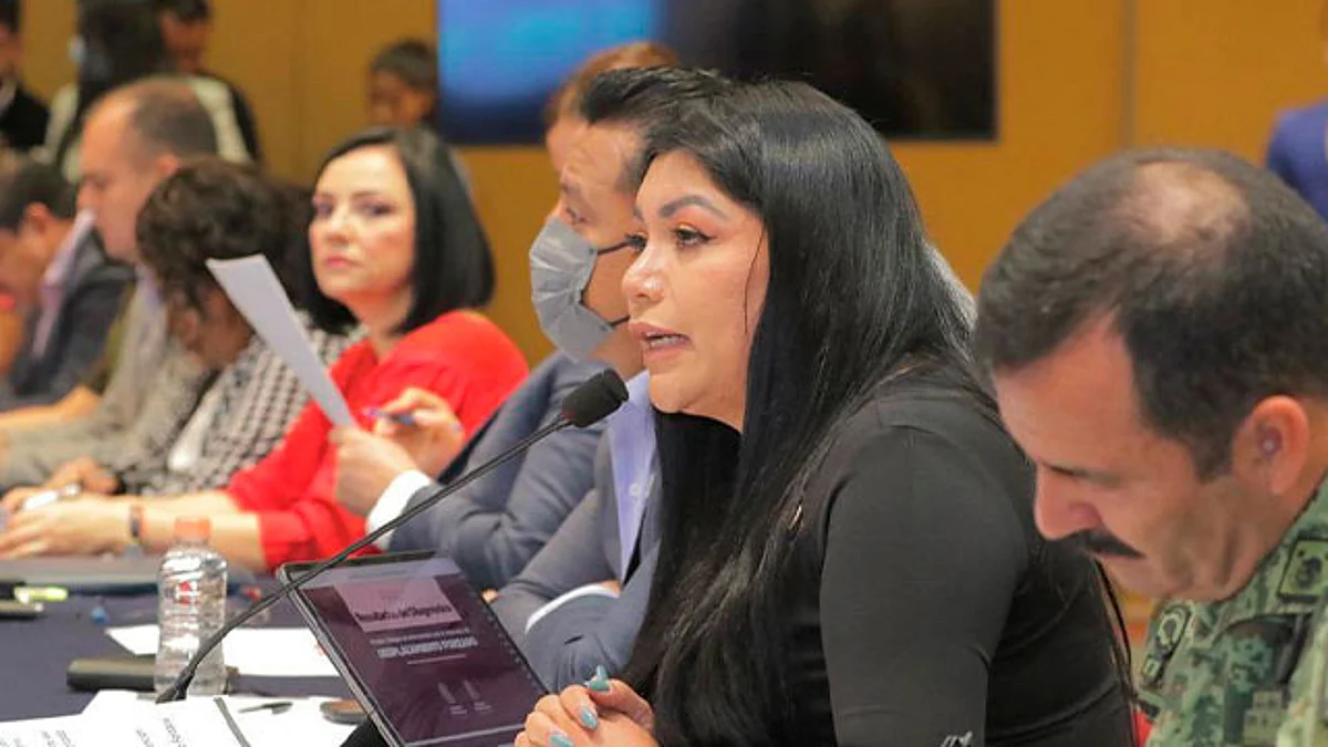 Comité para la Atención del Desplazamiento Forzado garantizará acciones permanentes: Brenda Fraga
