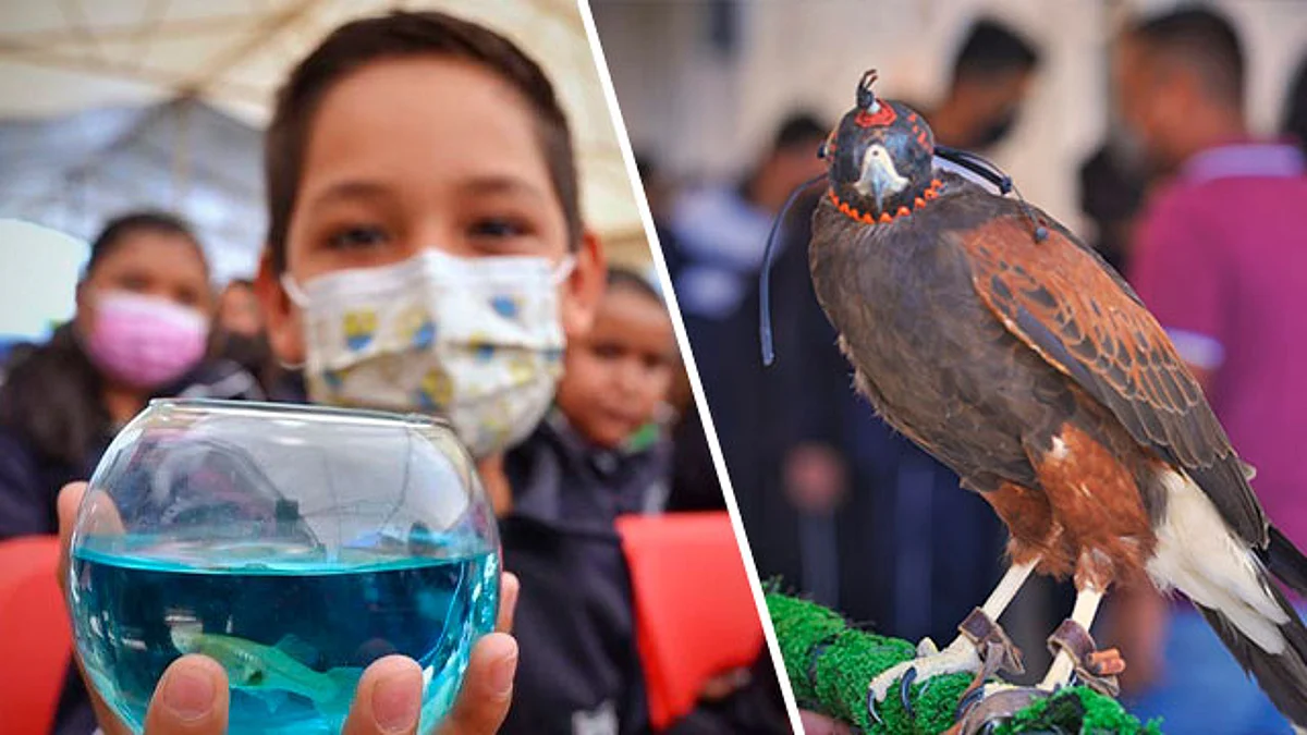 Gobierno de Tarímbaro organiza mesas de trabajo para niños sobre cuidado ambiental