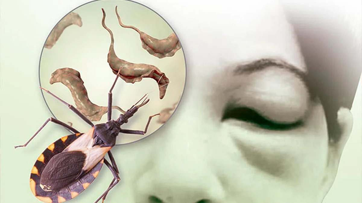 En los centros de salud y hospitales se ofrece atención y tratamiento gratuito a los pacientes con chagas