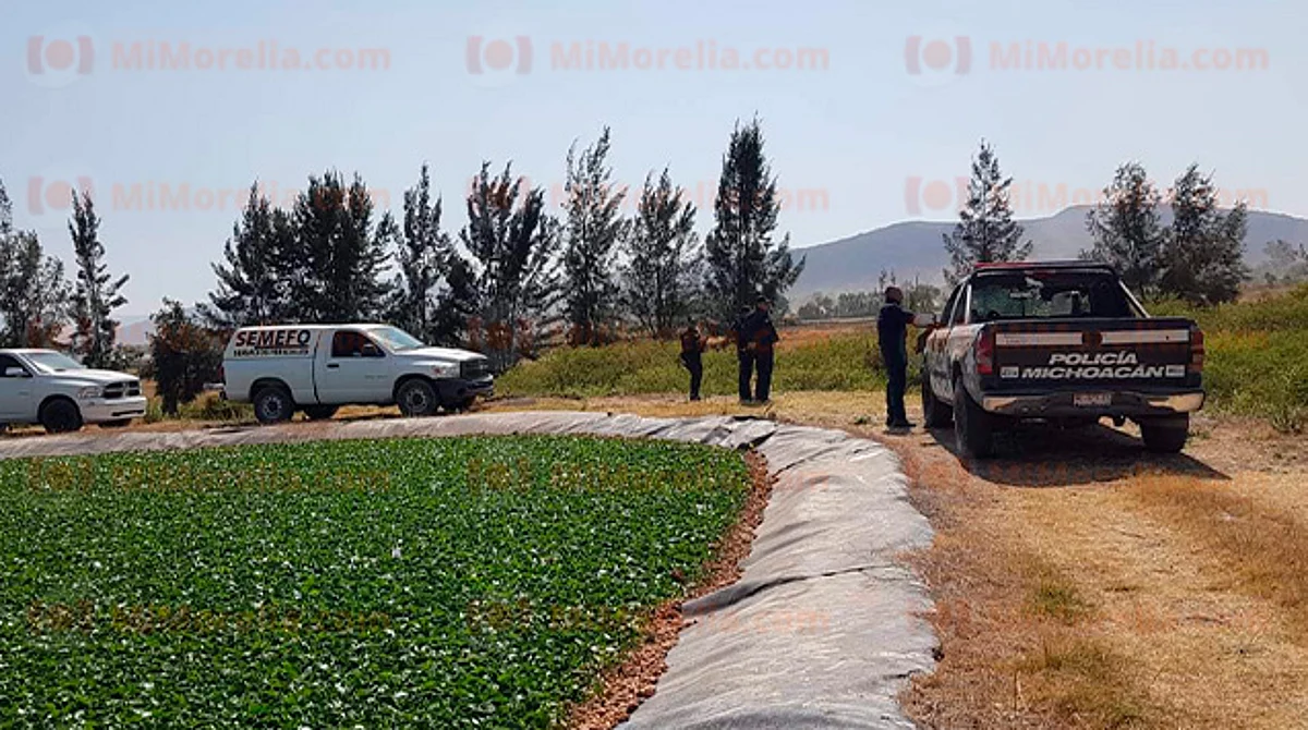 Hallan en Michoacán cadáver desmembrado; la cabeza no fue encontrada