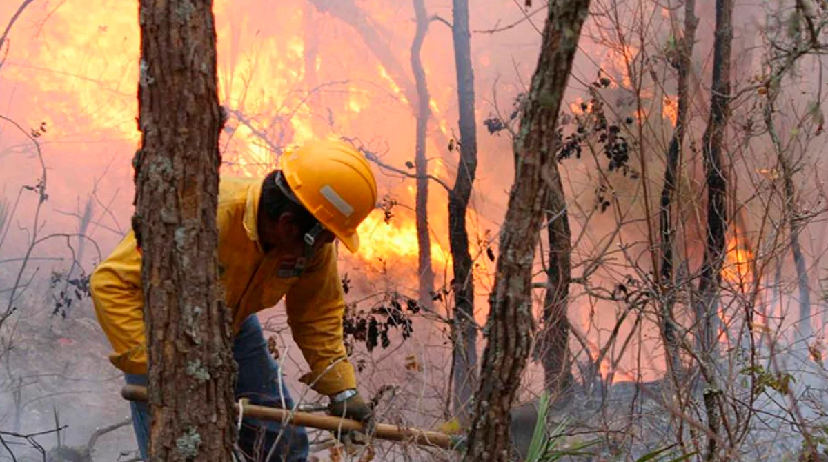 Morelia: por incendio del Cerro del Águila, 3 personas vinculadas a proceso