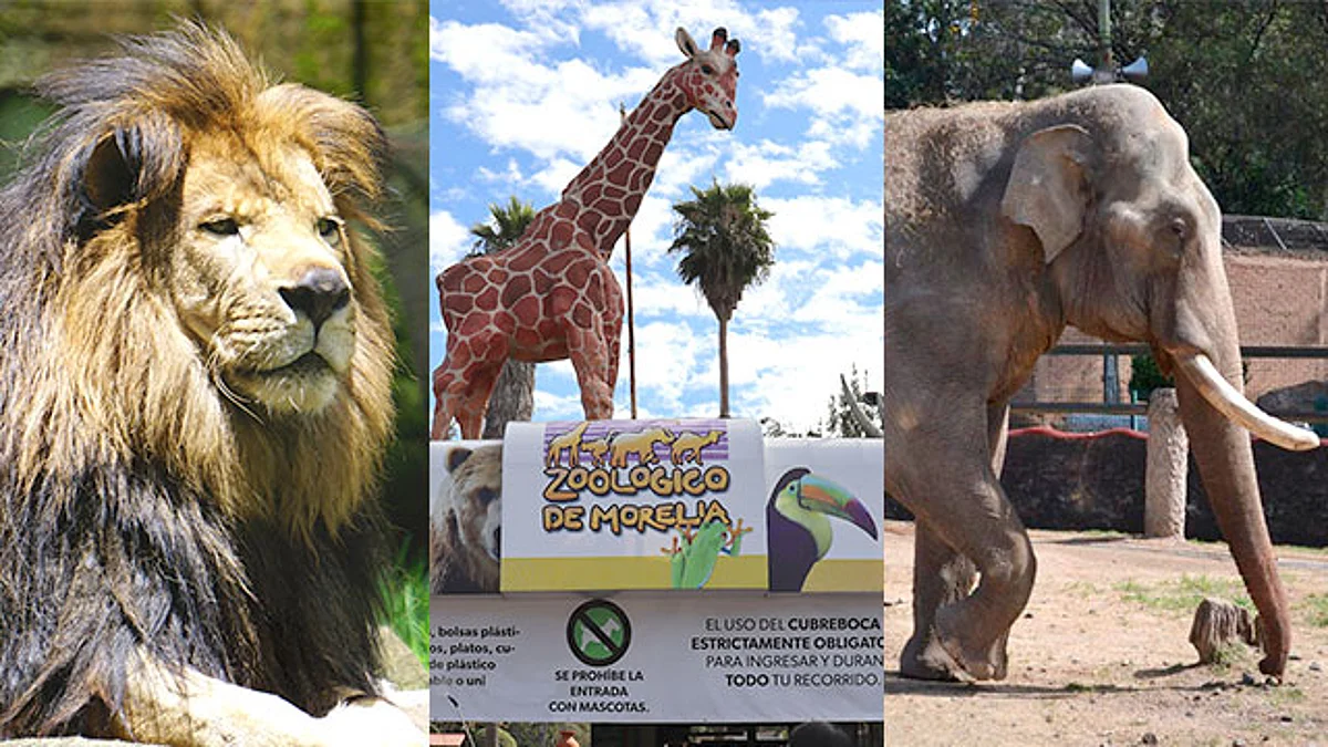 Zoológico de Morelia refuerza vigilancia durante periodo vacacional