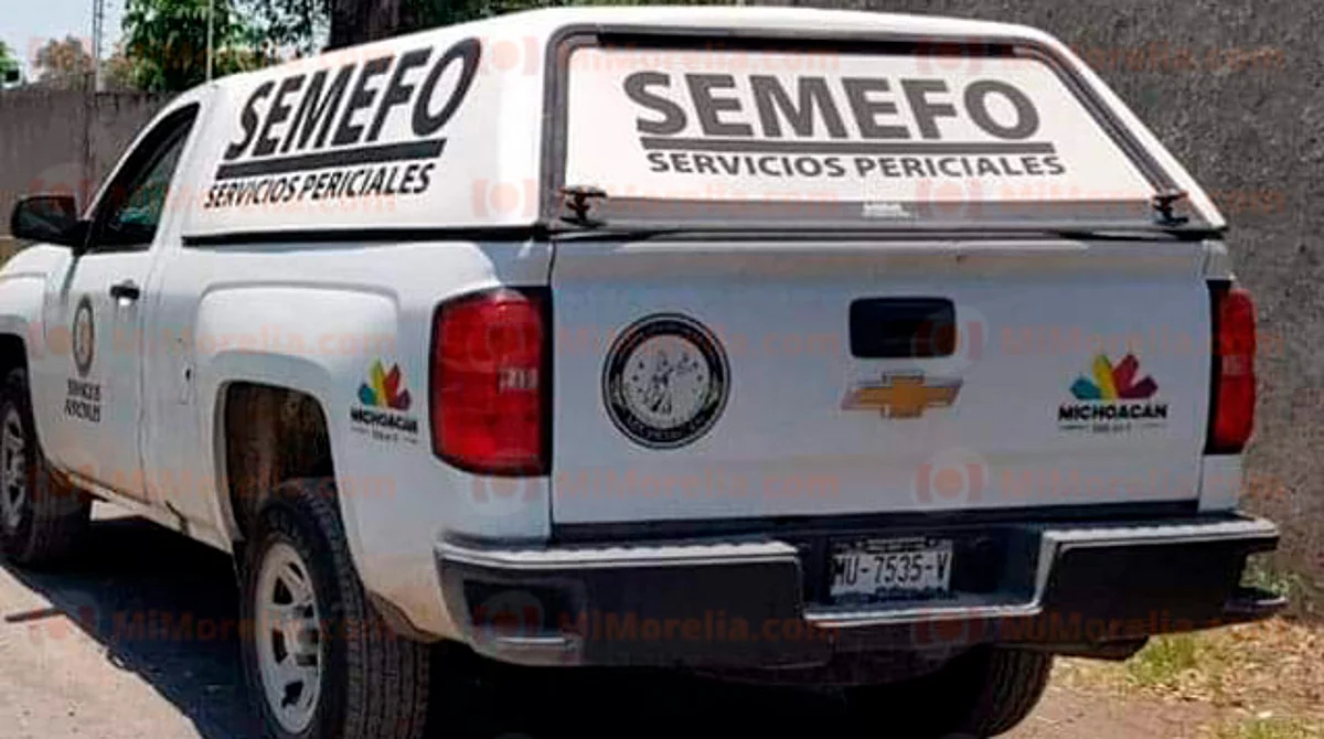 Conductor de camioneta es asesinado a tiros en Buenavista