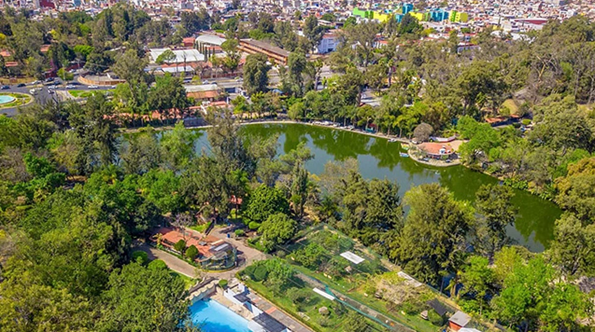 Habrá en zoológico de Morelia tirolesa sobre el lago