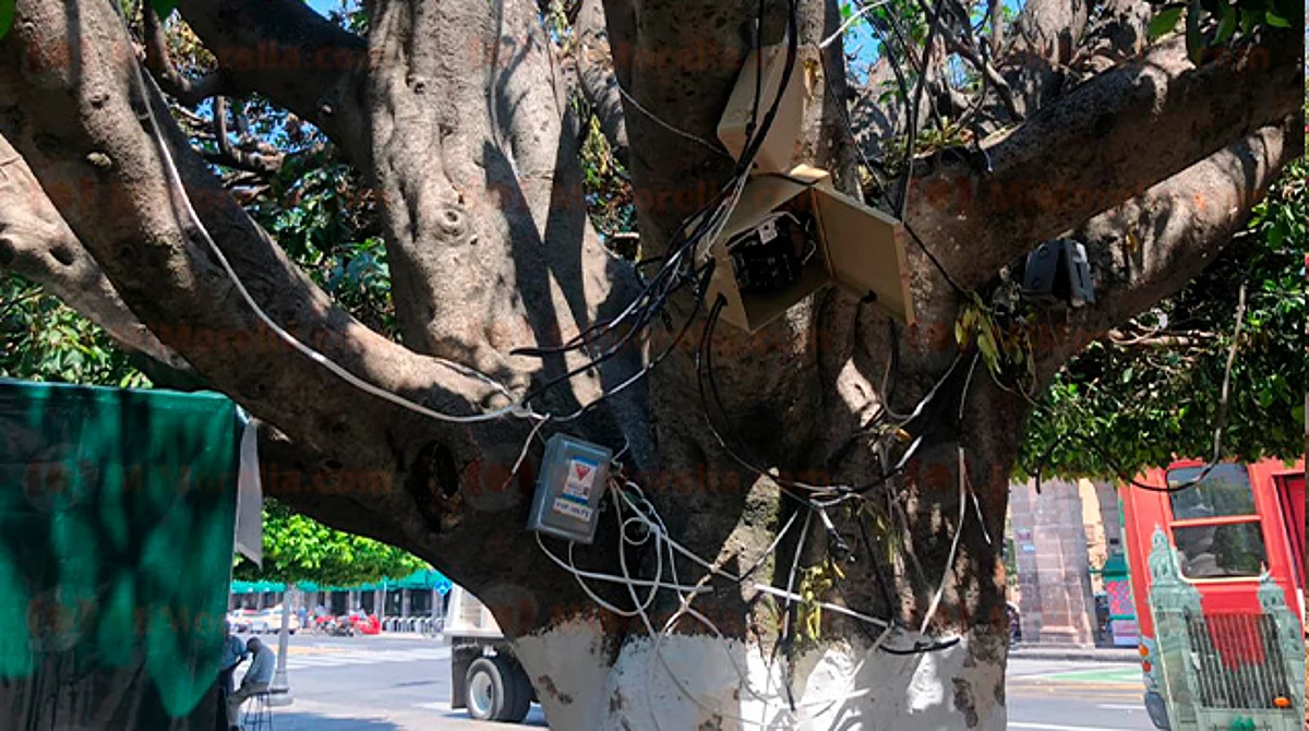 Morelia: ayuntamiento le instala hasta luz a manifestantes en avenida Madero