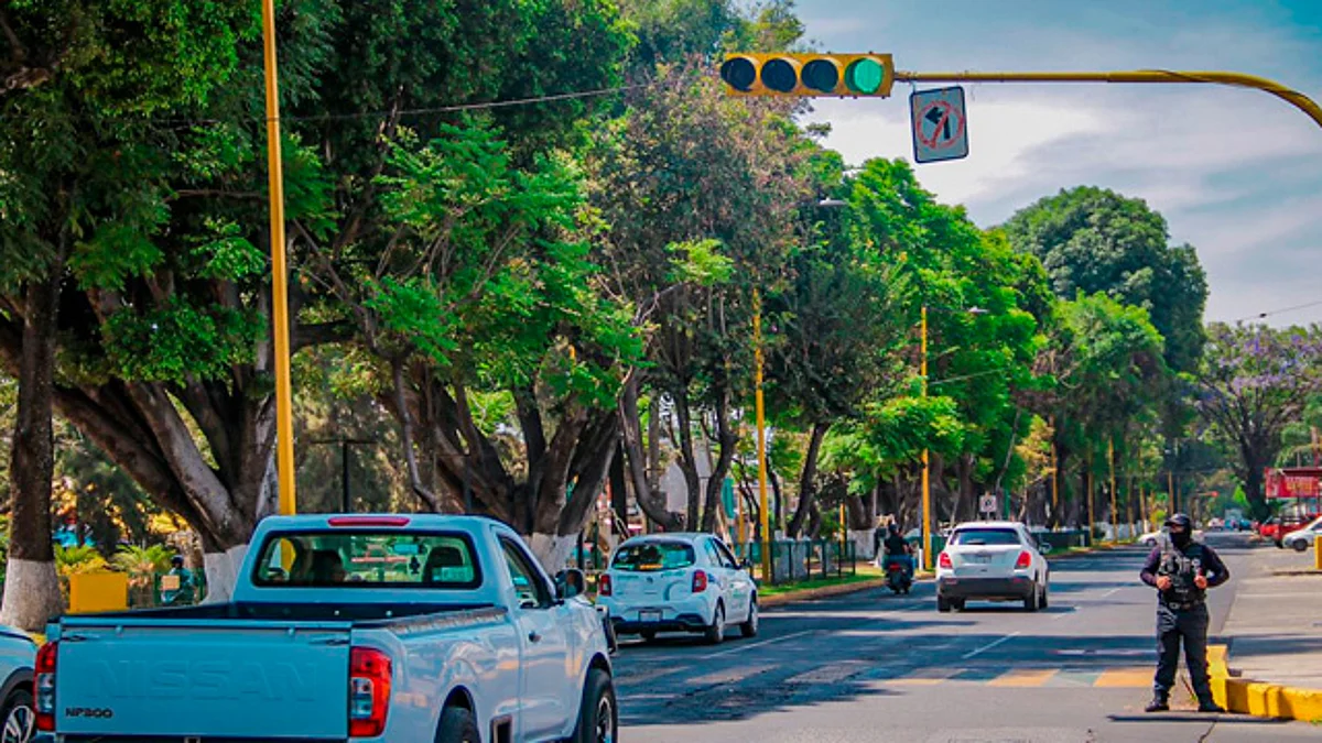 “Ola verde” consiste en que los semáforos estén sincronizados en un mismo color