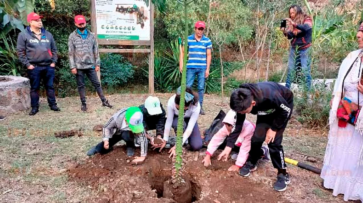 Hicieron un llamado a la ciudadanía para que se sumen a las actividades de plantar y cuidar árboles