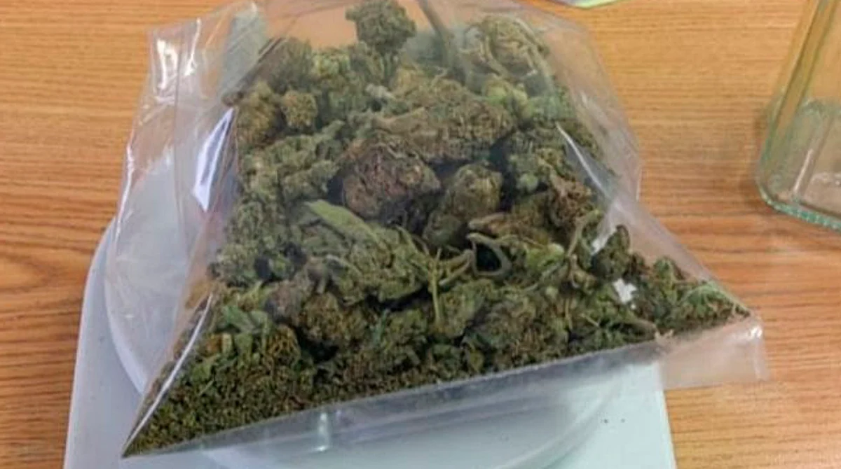 Se llevan a 6 a la cárcel en Morelia por traer droga