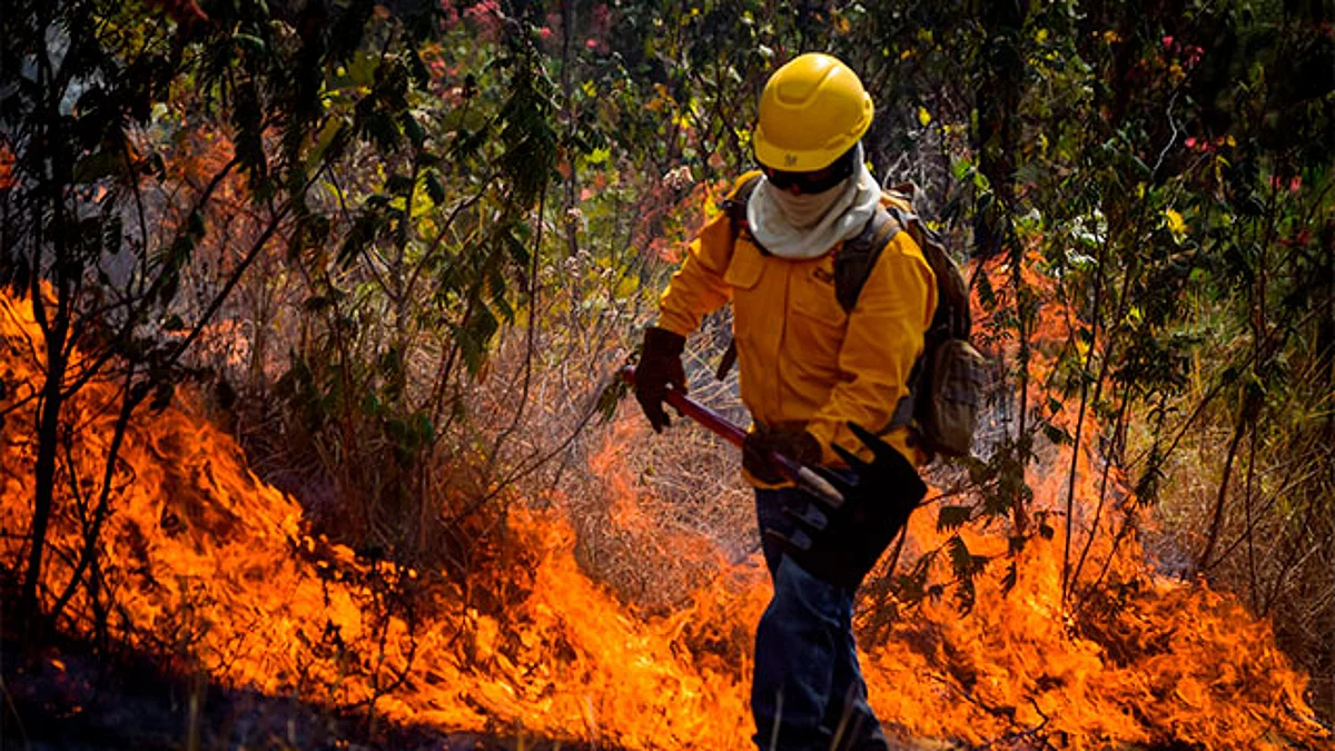 En Uruapan, controlan incendio forestal en el Cerro de la Cruz