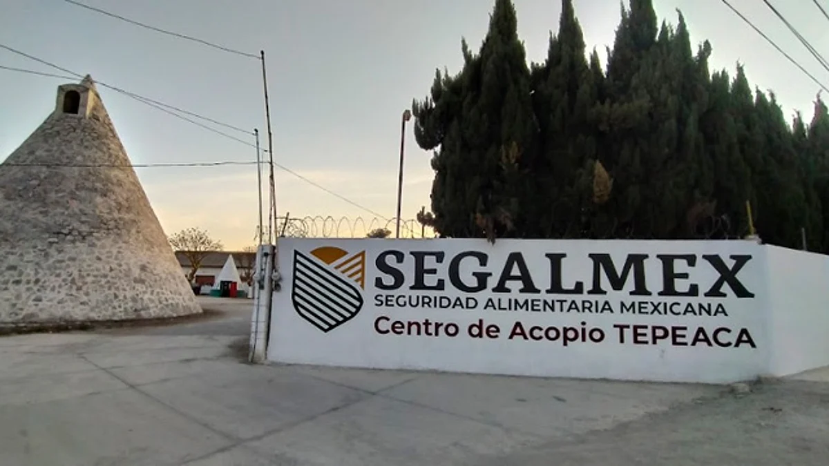 Vinculan a proceso a exjefe de Finanzas de Segalmex por uso ilícito de atribuciones