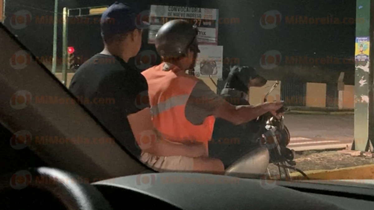 En la foto se ve a unos jóvenes que llevan en moto a un perrito junto con ellos mientras transitan por la ciudad
