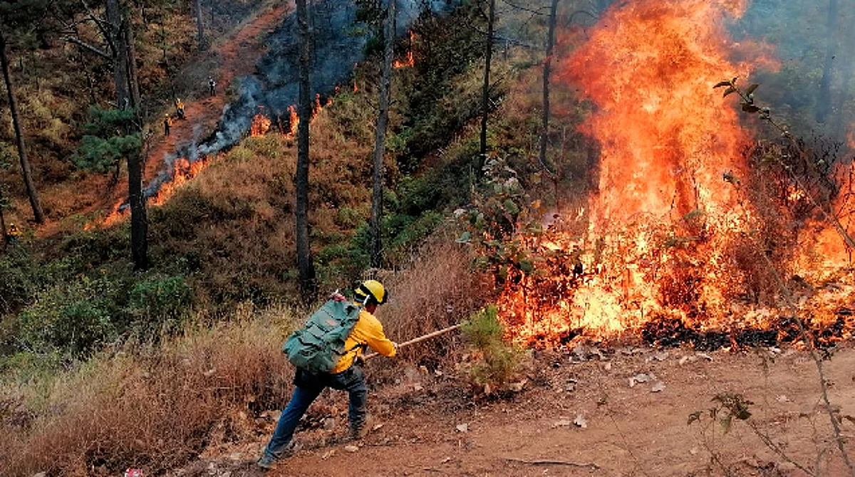 El primero de ellos se dio en el cerro de Jicalán, a espaldas del fraccionamiento San Pablo y el segundo se dio en la zona boscosa del Parque Nacional Barranca del Cupatitzio