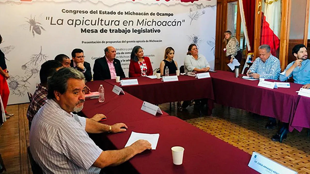 Apicultura, una actividad sustentable, bondadosa y productiva en Michoacán: Mayela Salas