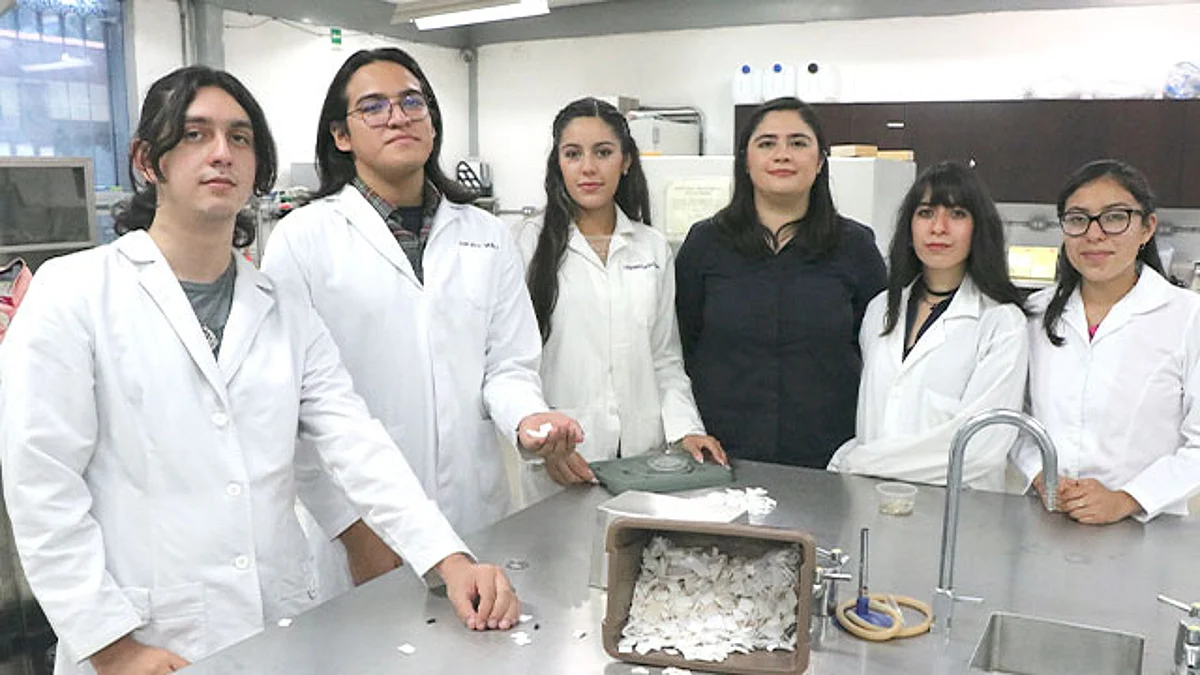 Estudiantes del Tec de Morelia degradan unicel para alimentar mascotas