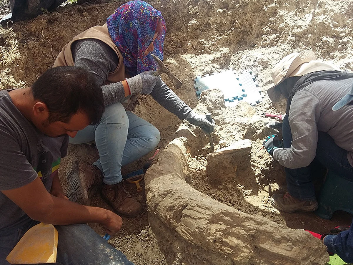 Realizaban trabajos de construcción cuando localizaron los restos