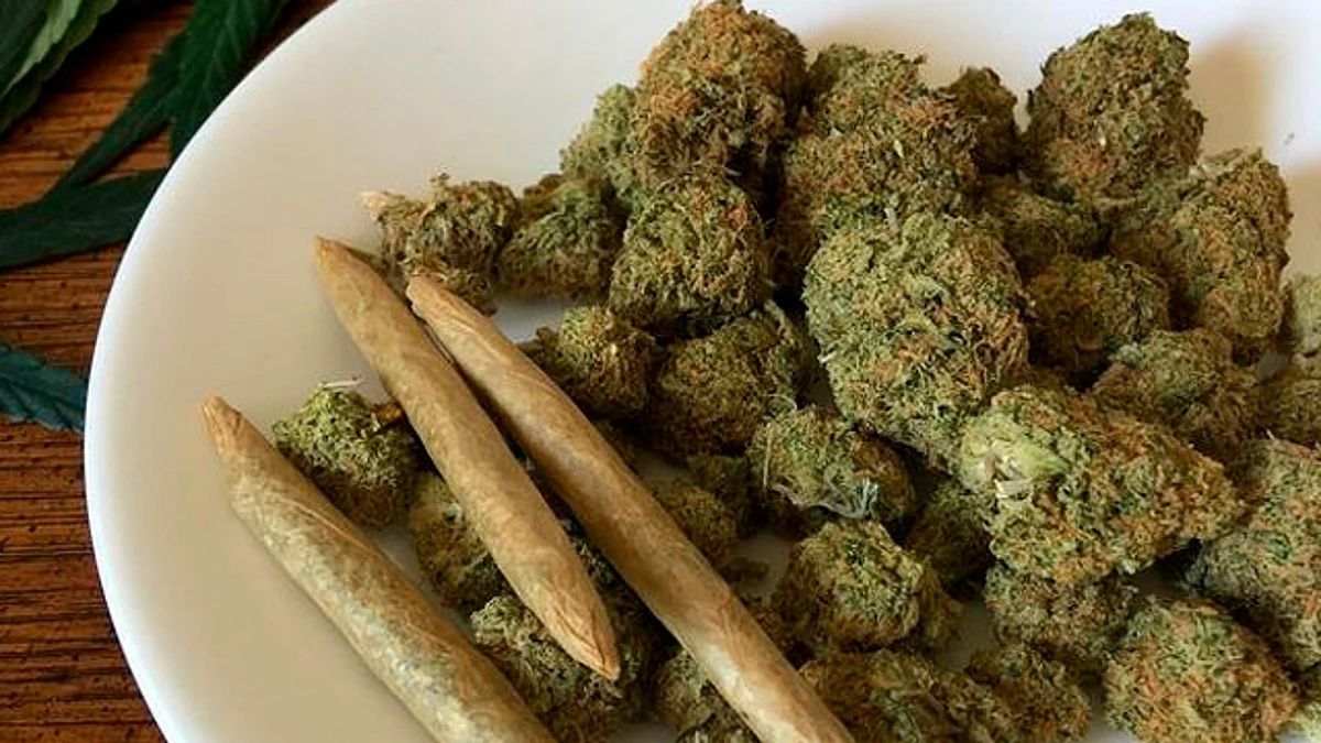 Permitido portar hasta 5 gramos de marihuana; SCJN despenaliza posesión