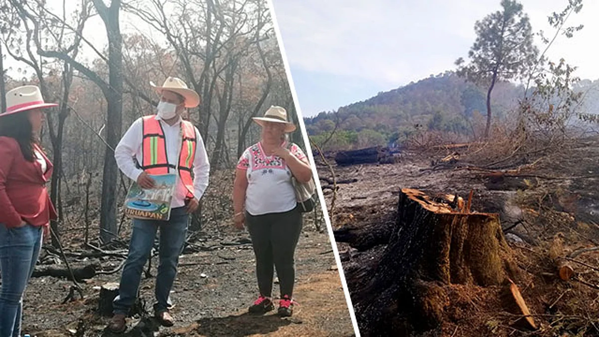 Cofom visita zonas afectadas por los incendios forestales en Ziracuaretiro