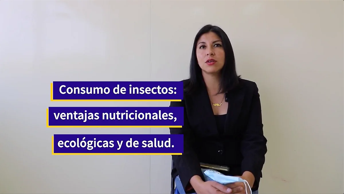 La Bióloga comentó que hay muchas ideas equivocadas sobre el consumo de insectos