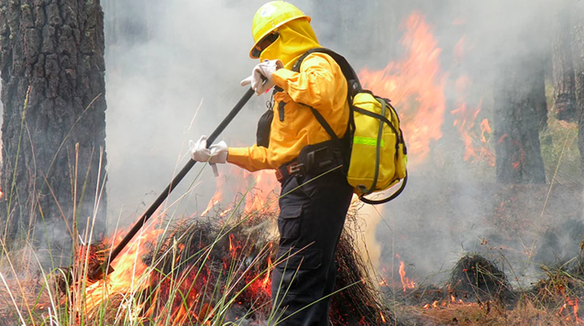 Reportan 5 incendios activos en Michoacán; controlado, el del Ramal