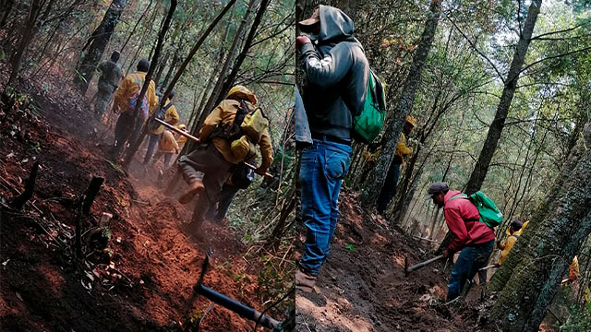 Brigadistas atienden incendio forestal en Tuxpan
