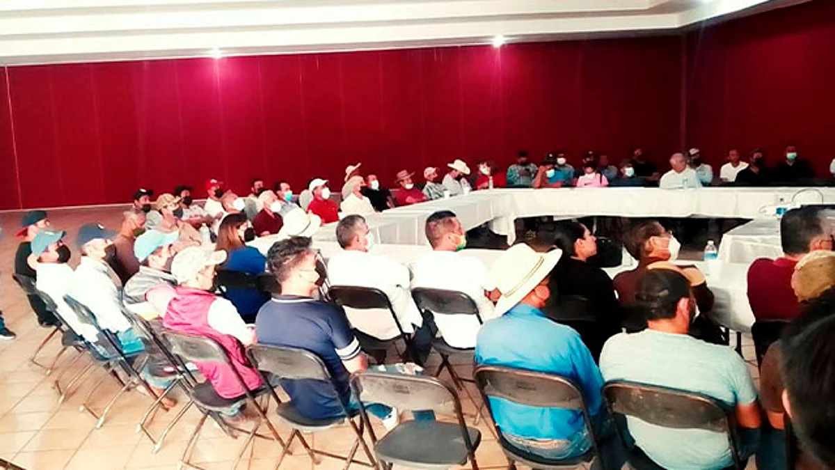Capacitan en Zitácuaro a productores de aguacate sobre el uso adecuado de plaguicidas