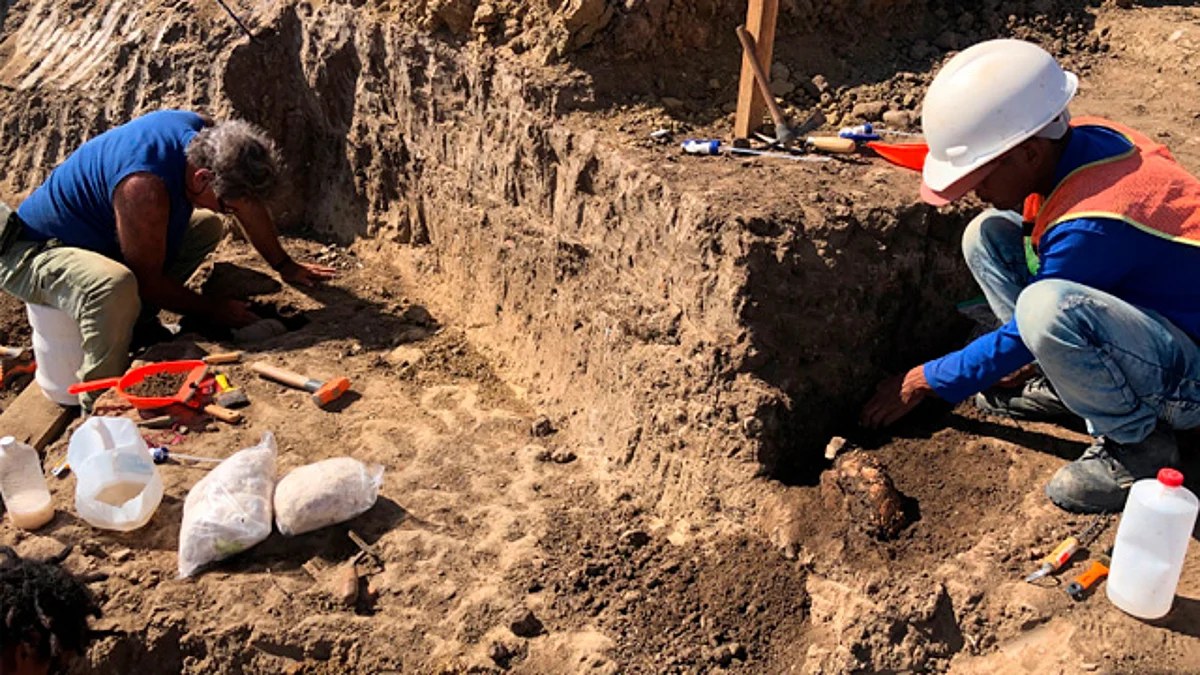 Descubren nuevo sitio arqueológico de la cultura aztatlán en puerto de Mazatlán