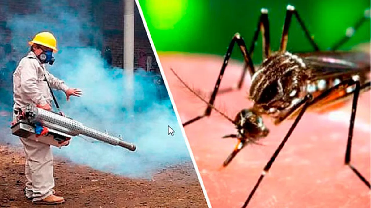 Michoacán registra 37 casos de dengue