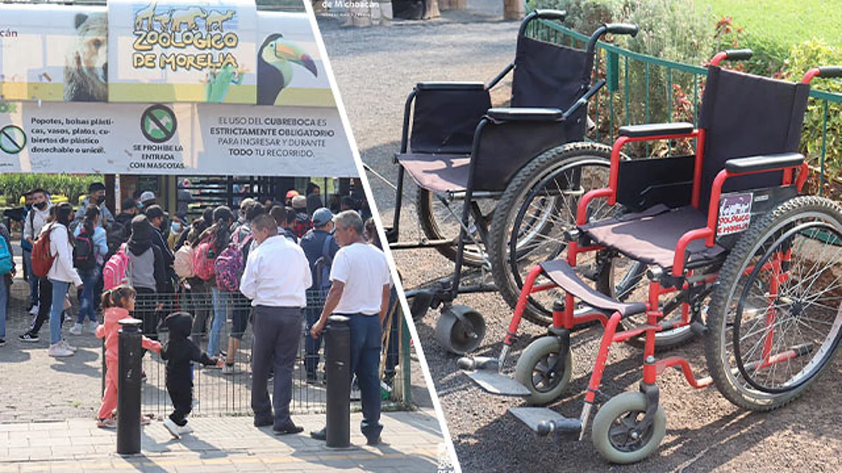 Personas con discapacidad entran gratis al Zoológico de Morelia