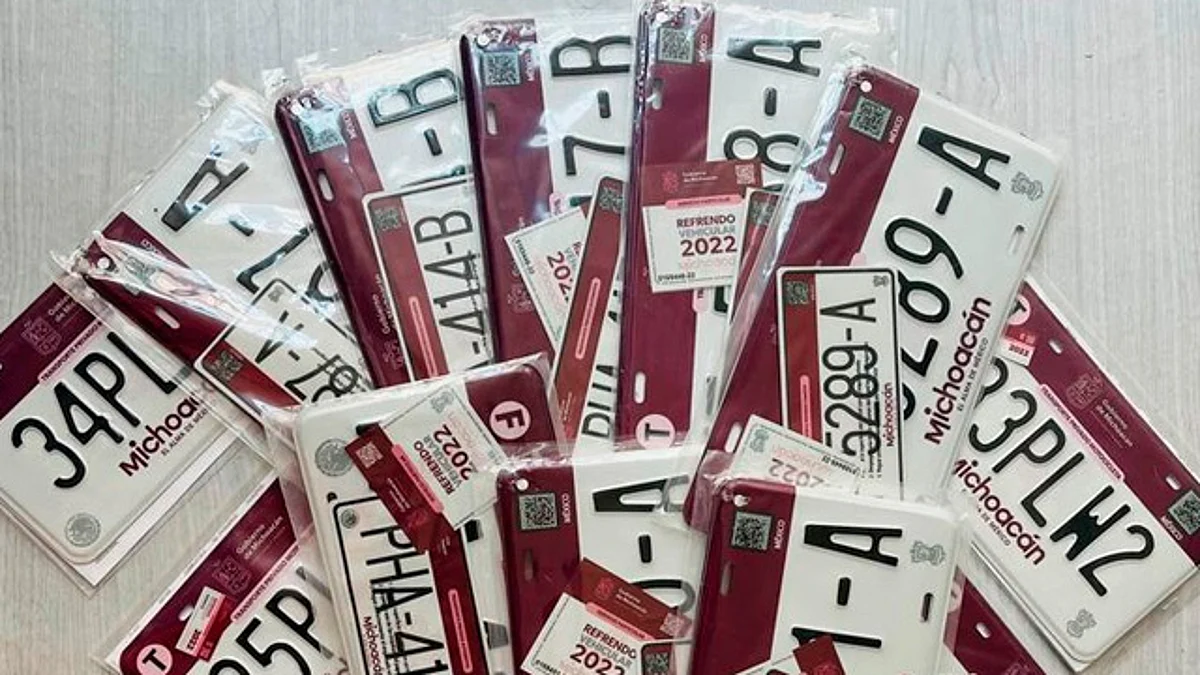 Actualmente no se contemplan operativos para revisión de placas: SFA