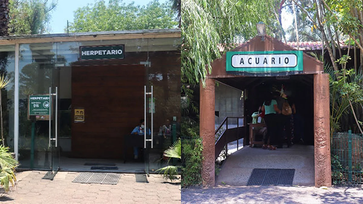 Zoológico de Morelia invita a sus visitas guiadas al Herpetario y Acuario