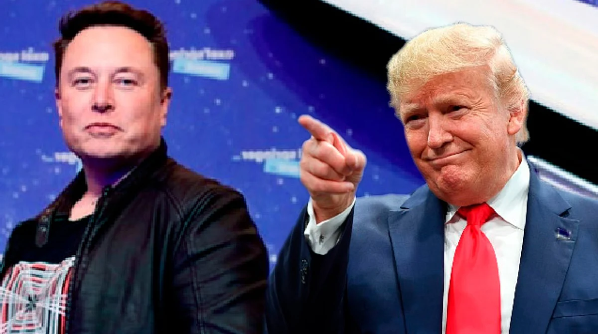 Elon Musk planea reabrir cuentas de Donald Trump en Twitter cuando sea dueño